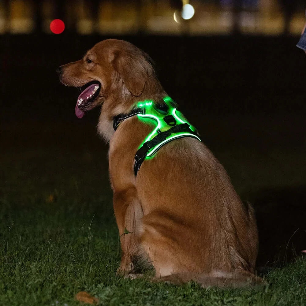  Adjustable Harness Light LED Dog Belt